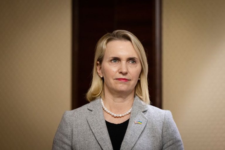 Pressures from Kyiv and Washington led to US ambassador’s resignation, sources say