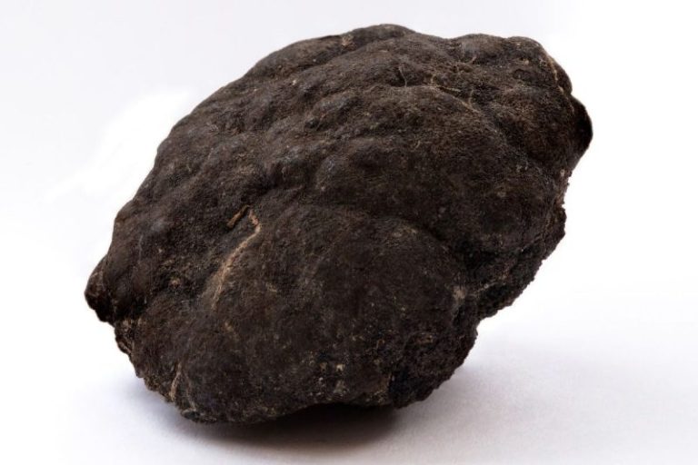 Seabed Mining Heats Up as Lockheed Martin Courts Interest in Pacific Licenses